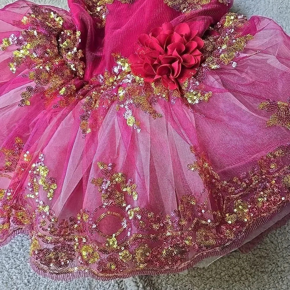 Ballet Dance Fairy Costume Revolution Fucia Maroon Large Child Gold Pink Sequens